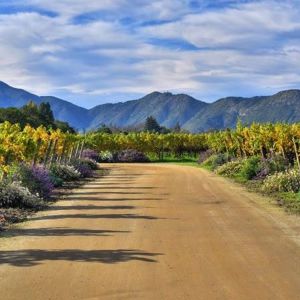 57 Rocas: um brinde sustentável ao dia da Cabernet Sauvignon